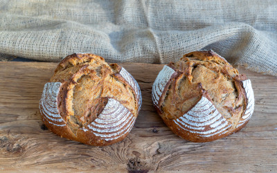 Pain Hildegard von Bingen 50&nbsp;%